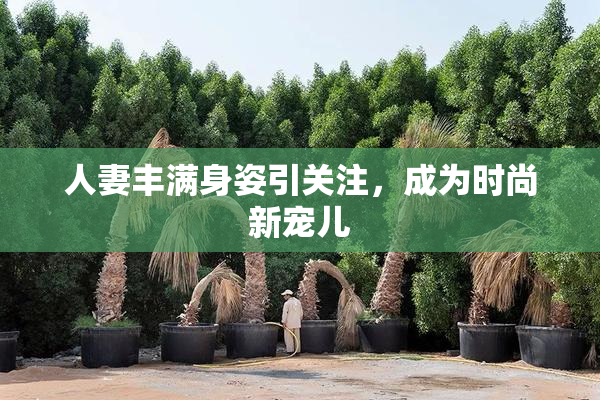 人妻丰满身姿引关注，成为时尚新宠儿