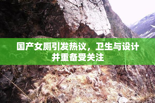 国产女厕引发热议，卫生与设计并重备受关注