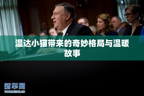 温达小猫带来的奇妙格局与温暖故事