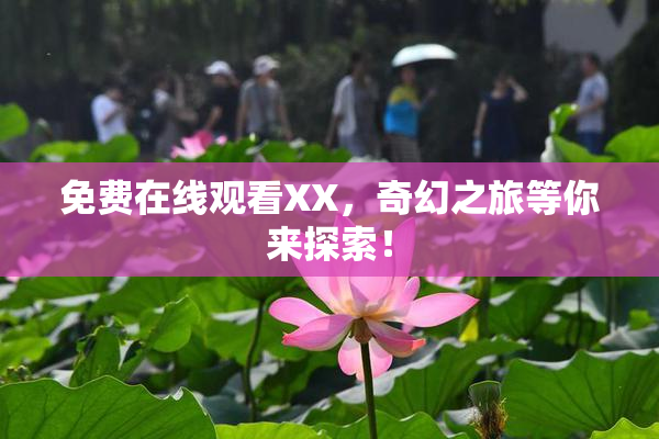 免费在线观看XX，奇幻之旅等你来探索！