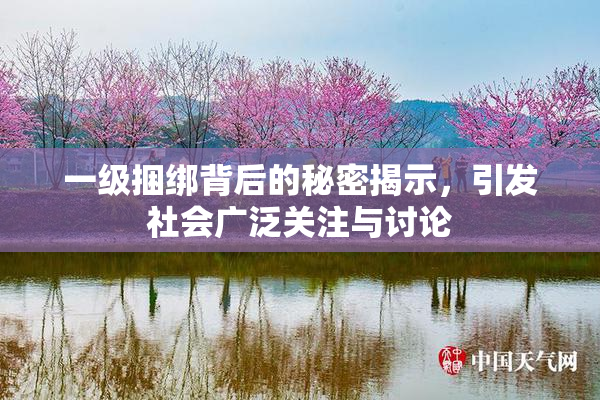 一级捆绑背后的秘密揭示，引发社会广泛关注与讨论