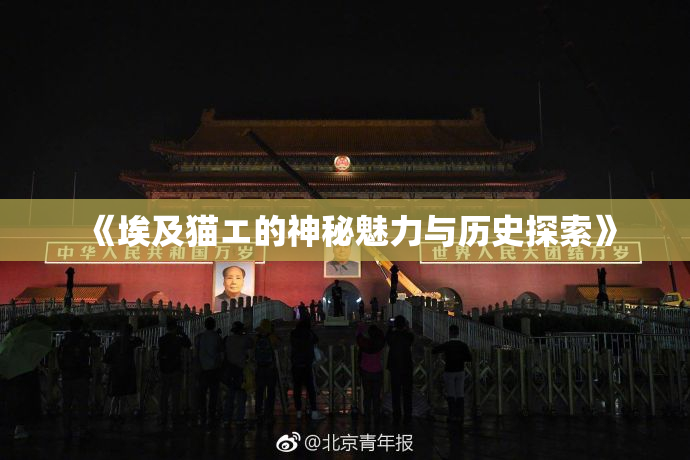 《埃及猫エ的神秘魅力与历史探索》