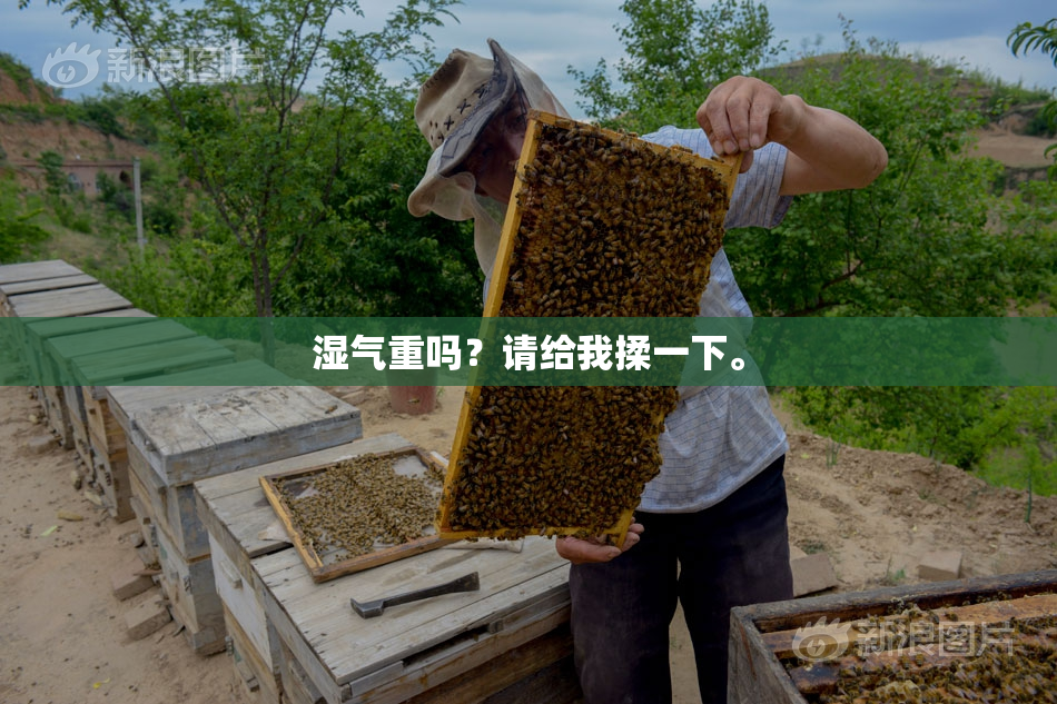湿气重吗？请给我揉一下。