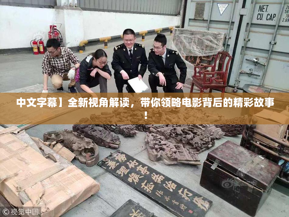 中文字幕】全新视角解读，带你领略电影背后的精彩故事！