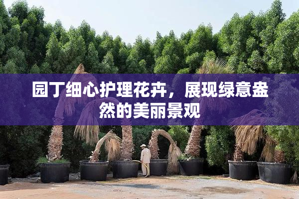 园丁细心护理花卉，展现绿意盎然的美丽景观