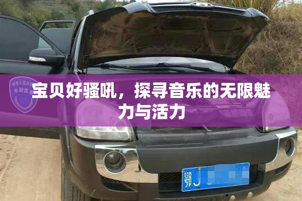 宝贝好骚吼，探寻音乐的无限魅力与活力