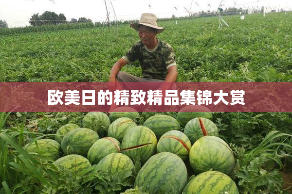 欧美日的精致精品集锦大赏