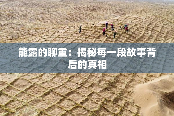 能露的聊重：揭秘每一段故事背后的真相