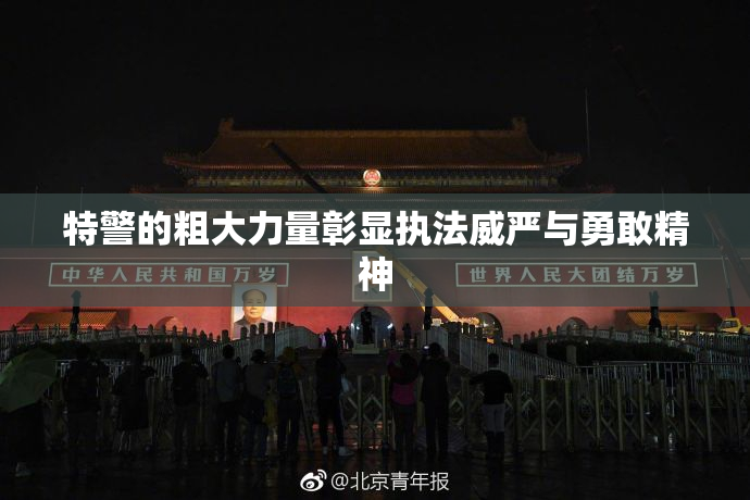 特警的粗大力量彰显执法威严与勇敢精神