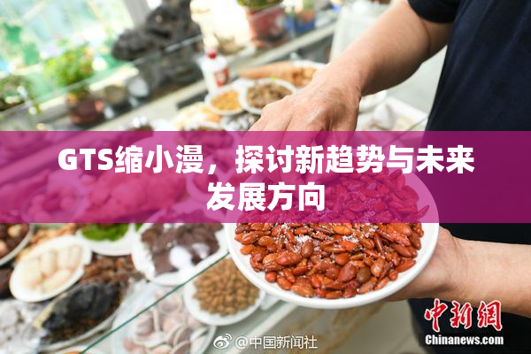 GTS缩小漫，探讨新趋势与未来发展方向