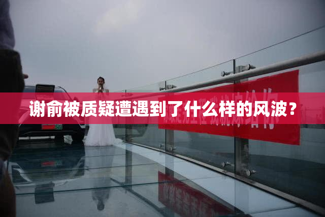 谢俞被质疑遭遇到了什么样的风波？
