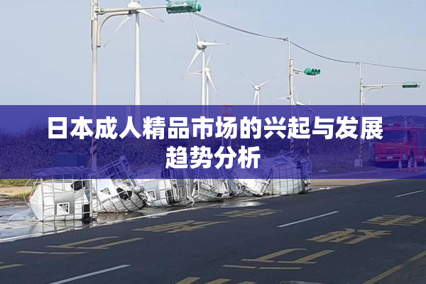 日本成人精品市场的兴起与发展趋势分析