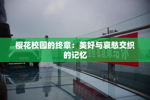 樱花校园的终章：美好与哀愁交织的记忆