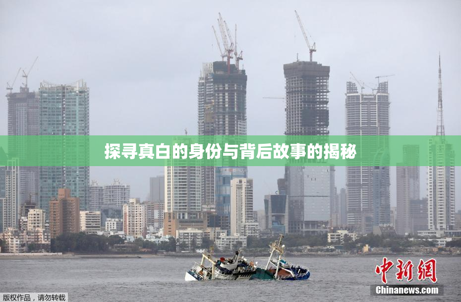 探寻真白的身份与背后故事的揭秘
