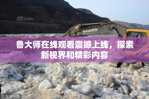 鲁大师在线观看震撼上线，探索新视界和精彩内容