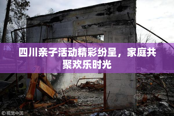四川亲子活动精彩纷呈，家庭共聚欢乐时光