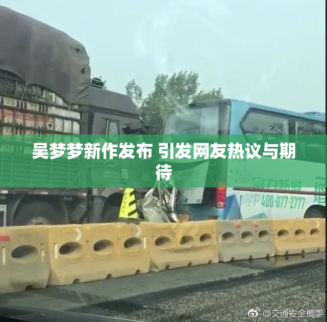 吴梦梦新作发布 引发网友热议与期待