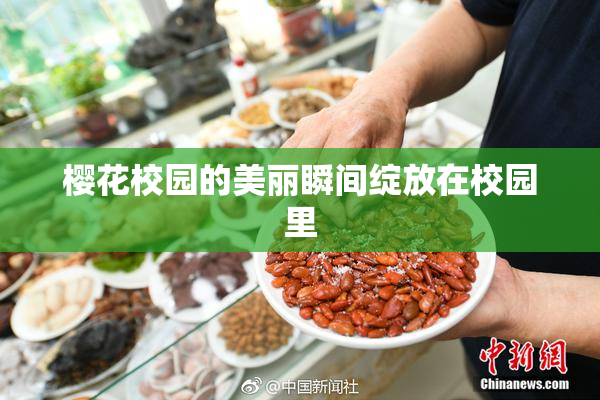 樱花校园的美丽瞬间绽放在校园里