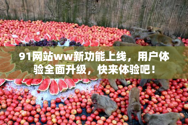 91网站ww新功能上线，用户体验全面升级，快来体验吧！