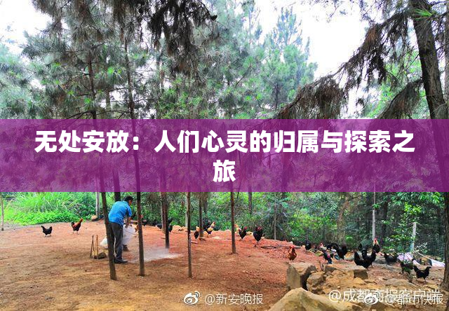 无处安放：人们心灵的归属与探索之旅