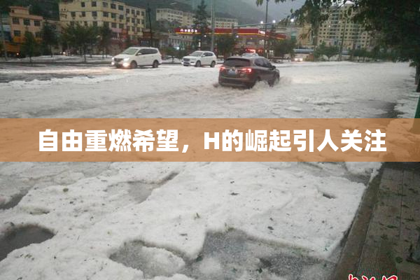 自由重燃希望，H的崛起引人关注