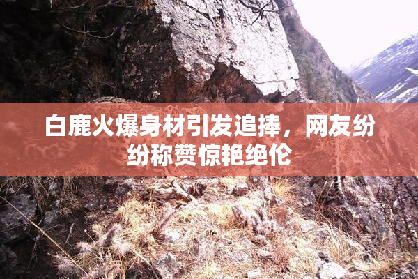 白鹿火爆身材引发追捧，网友纷纷称赞惊艳绝伦