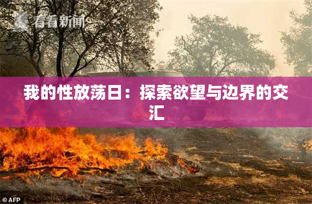 我的性放荡日：探索欲望与边界的交汇