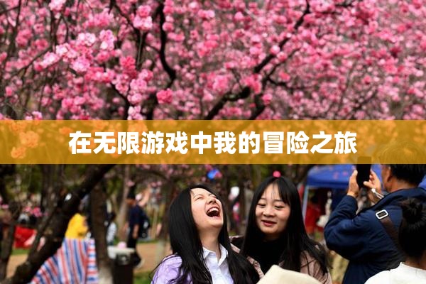 在无限游戏中我的冒险之旅