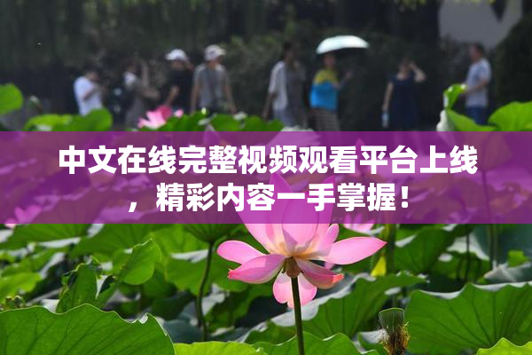 中文在线完整视频观看平台上线，精彩内容一手掌握！