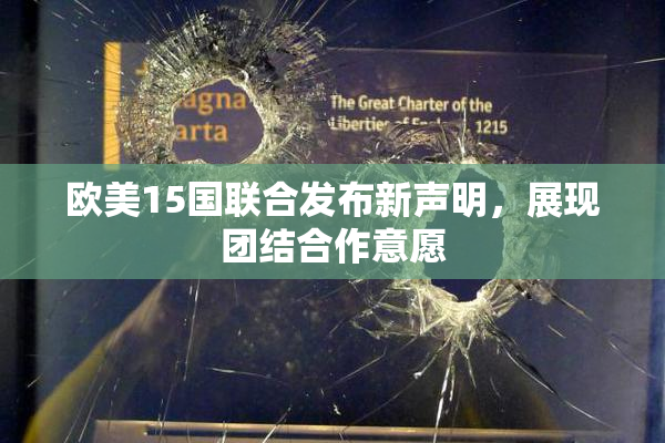 欧美15国联合发布新声明，展现团结合作意愿