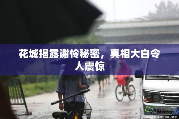 花城揭露谢怜秘密，真相大白令人震惊
