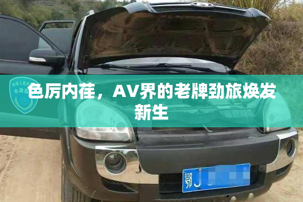 色厉内荏，AV界的老牌劲旅焕发新生