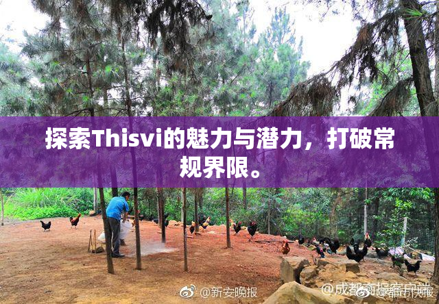 探索Thisvi的魅力与潜力，打破常规界限。
