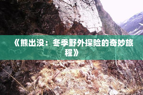 《熊出没：冬季野外探险的奇妙旅程》