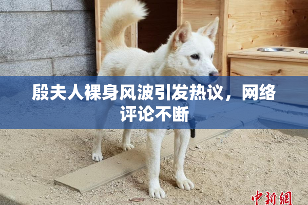 殷夫人裸身风波引发热议，网络评论不断