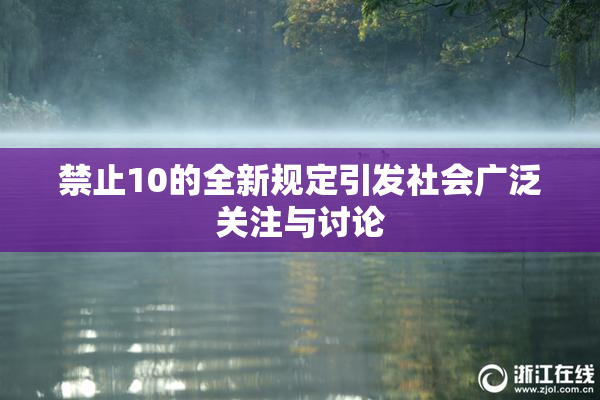 禁止10的全新规定引发社会广泛关注与讨论
