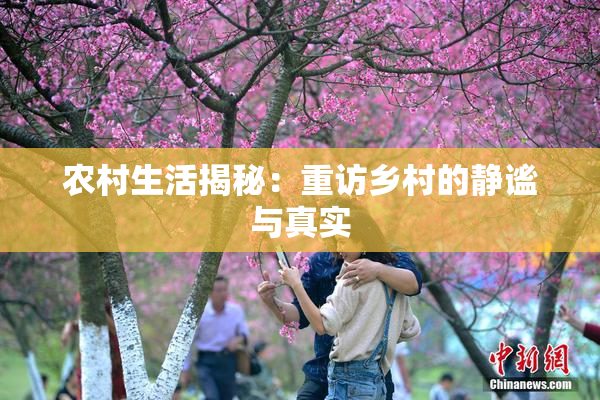 农村生活揭秘：重访乡村的静谧与真实
