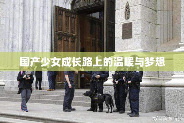国产少女成长路上的温暖与梦想