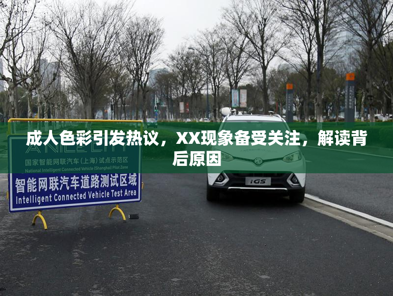 成人色彩引发热议，XX现象备受关注，解读背后原因