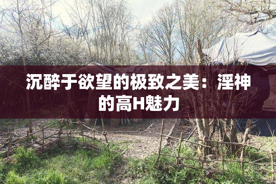 沉醉于欲望的极致之美：淫神的高H魅力