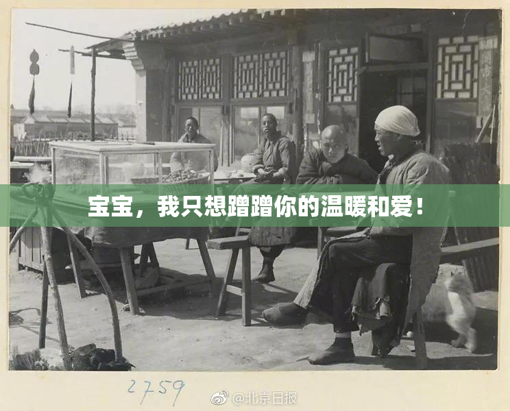宝宝，我只想蹭蹭你的温暖和爱！