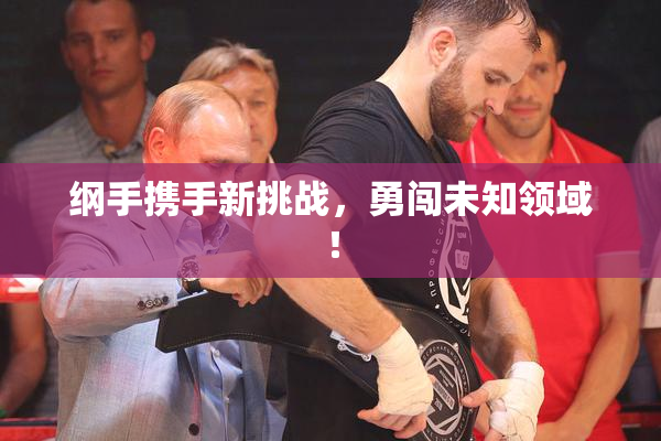 纲手携手新挑战，勇闯未知领域！