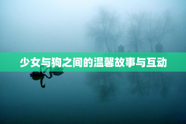 少女与狗之间的温馨故事与互动