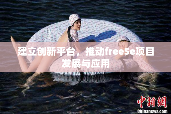 建立创新平台，推动freeSe项目发展与应用