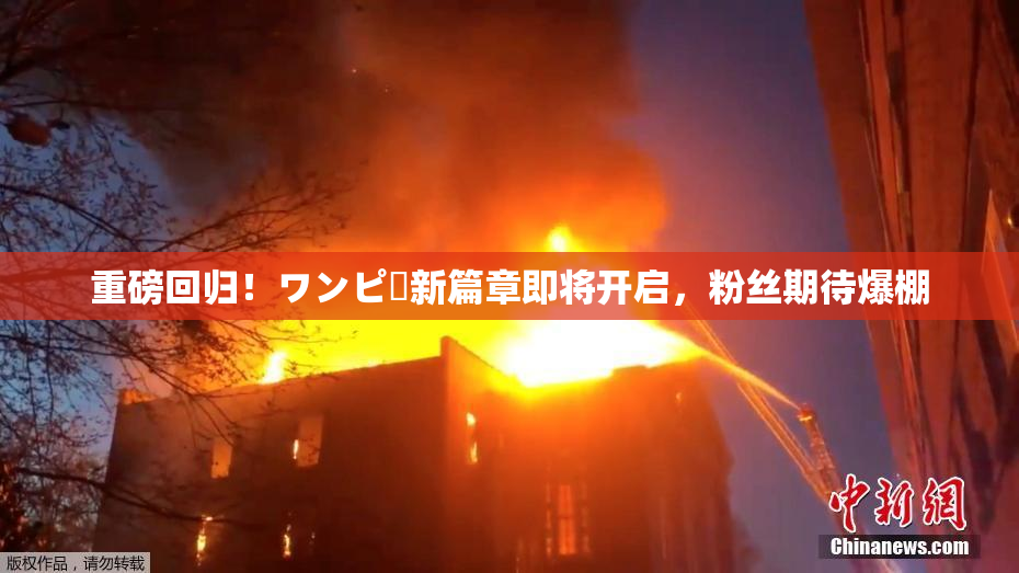 重磅回归！ワンピー新篇章即将开启，粉丝期待爆棚