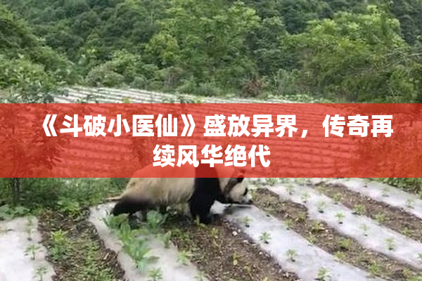 《斗破小医仙》盛放异界，传奇再续风华绝代