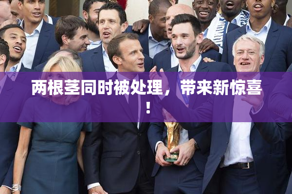 两根茎同时被处理，带来新惊喜！