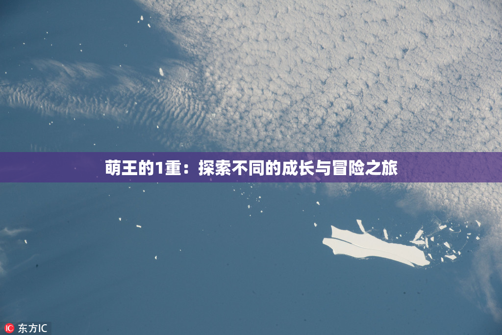 萌王的1重：探索不同的成长与冒险之旅