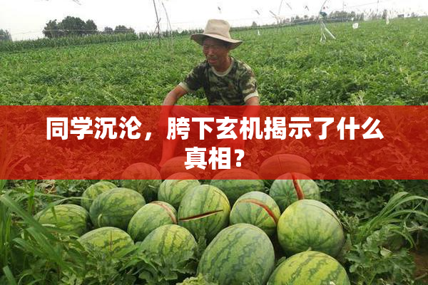 同学沉沦，胯下玄机揭示了什么真相？