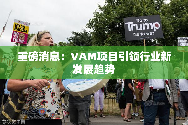 重磅消息：VAM项目引领行业新发展趋势